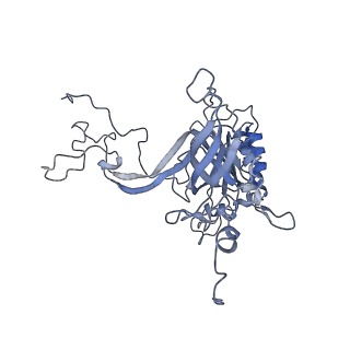 12189_7bhp_LB_v1-1
Cryo-EM structure of the human Ebp1 - 80S ribosome