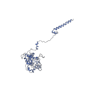 12189_7bhp_LC_v1-1
Cryo-EM structure of the human Ebp1 - 80S ribosome