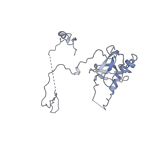 12189_7bhp_LE_v1-1
Cryo-EM structure of the human Ebp1 - 80S ribosome