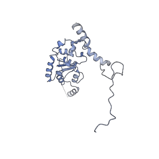 12189_7bhp_LG_v1-1
Cryo-EM structure of the human Ebp1 - 80S ribosome