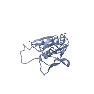 12189_7bhp_LH_v1-1
Cryo-EM structure of the human Ebp1 - 80S ribosome