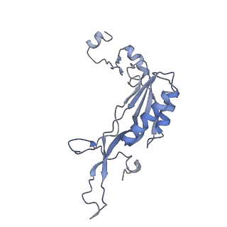 12189_7bhp_LI_v1-1
Cryo-EM structure of the human Ebp1 - 80S ribosome