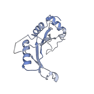 12189_7bhp_LJ_v1-1
Cryo-EM structure of the human Ebp1 - 80S ribosome