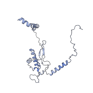 12189_7bhp_LL_v1-1
Cryo-EM structure of the human Ebp1 - 80S ribosome