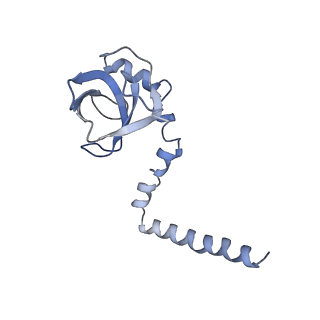 12189_7bhp_LM_v1-1
Cryo-EM structure of the human Ebp1 - 80S ribosome