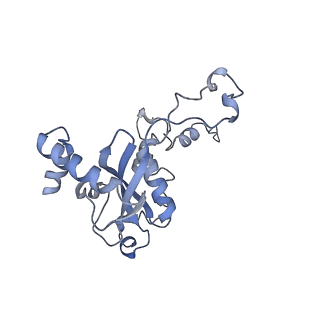 12189_7bhp_LN_v1-1
Cryo-EM structure of the human Ebp1 - 80S ribosome