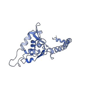 12189_7bhp_LO_v1-1
Cryo-EM structure of the human Ebp1 - 80S ribosome