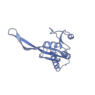 12189_7bhp_LP_v1-1
Cryo-EM structure of the human Ebp1 - 80S ribosome