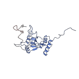 12189_7bhp_LQ_v1-1
Cryo-EM structure of the human Ebp1 - 80S ribosome