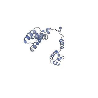 12189_7bhp_LR_v1-1
Cryo-EM structure of the human Ebp1 - 80S ribosome