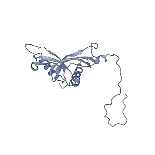 12189_7bhp_LS_v1-1
Cryo-EM structure of the human Ebp1 - 80S ribosome
