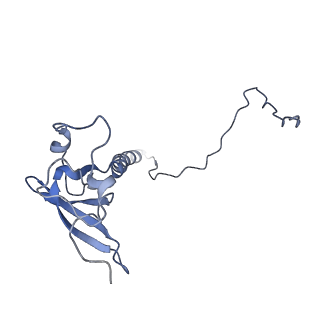12189_7bhp_LT_v1-1
Cryo-EM structure of the human Ebp1 - 80S ribosome