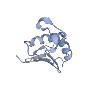 12189_7bhp_LU_v1-1
Cryo-EM structure of the human Ebp1 - 80S ribosome