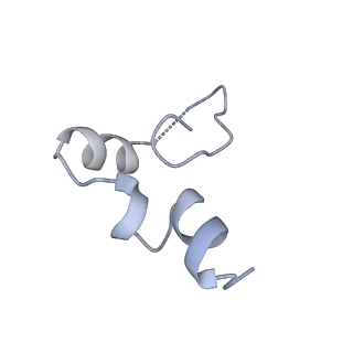 12189_7bhp_LW_v1-1
Cryo-EM structure of the human Ebp1 - 80S ribosome