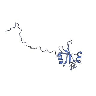 12189_7bhp_LX_v1-1
Cryo-EM structure of the human Ebp1 - 80S ribosome