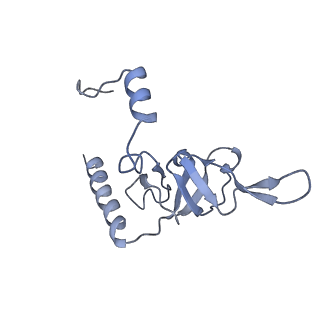 12189_7bhp_LY_v1-1
Cryo-EM structure of the human Ebp1 - 80S ribosome