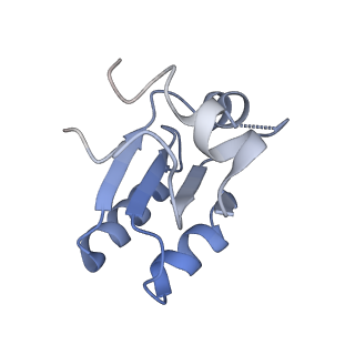 12189_7bhp_Lc_v1-1
Cryo-EM structure of the human Ebp1 - 80S ribosome