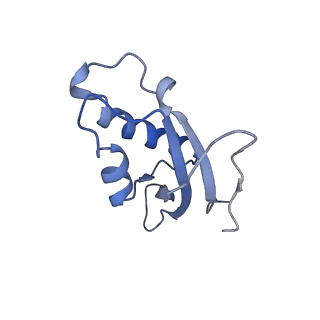 12189_7bhp_Ld_v1-1
Cryo-EM structure of the human Ebp1 - 80S ribosome