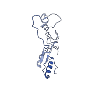 12189_7bhp_Le_v1-1
Cryo-EM structure of the human Ebp1 - 80S ribosome