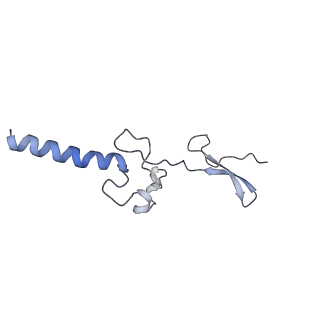 12189_7bhp_Lg_v1-1
Cryo-EM structure of the human Ebp1 - 80S ribosome