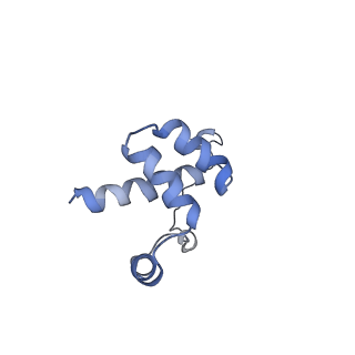 12189_7bhp_Li_v1-1
Cryo-EM structure of the human Ebp1 - 80S ribosome