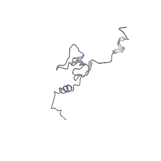 12189_7bhp_Lj_v1-1
Cryo-EM structure of the human Ebp1 - 80S ribosome