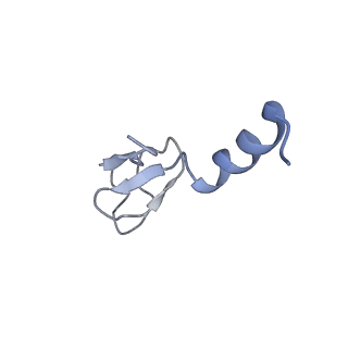 12189_7bhp_Lm_v1-1
Cryo-EM structure of the human Ebp1 - 80S ribosome