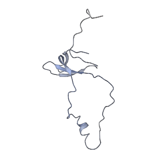 12189_7bhp_Lo_v1-1
Cryo-EM structure of the human Ebp1 - 80S ribosome