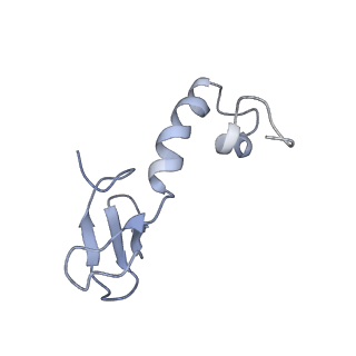 12189_7bhp_Lp_v1-1
Cryo-EM structure of the human Ebp1 - 80S ribosome