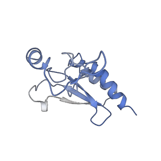 12189_7bhp_Lr_v1-1
Cryo-EM structure of the human Ebp1 - 80S ribosome