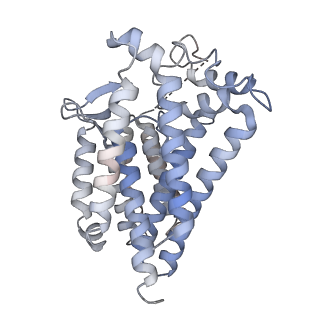 16042_8bh1_A_v1-2
Core divisome complex FtsWIQBL from Pseudomonas aeruginosa