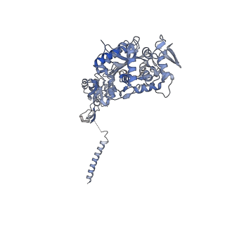 16042_8bh1_B_v1-2
Core divisome complex FtsWIQBL from Pseudomonas aeruginosa