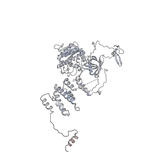 16044_8bh3_C_v1-1
DNA-PK Ku80 mediated dimer bound to PAXX