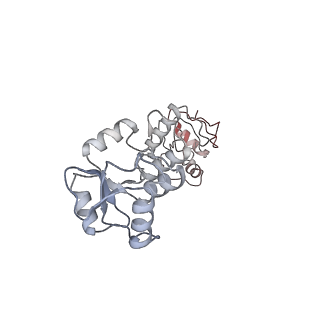 16044_8bh3_I_v1-1
DNA-PK Ku80 mediated dimer bound to PAXX