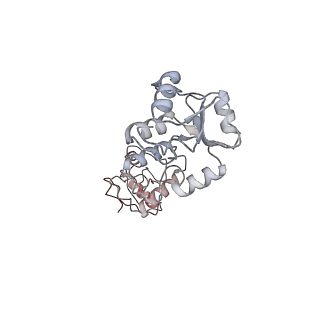 16044_8bh3_R_v1-1
DNA-PK Ku80 mediated dimer bound to PAXX