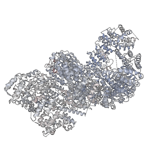 16044_8bh3_S_v1-1
DNA-PK Ku80 mediated dimer bound to PAXX