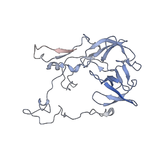 16047_8bh4_A_v1-0
Elongating E. coli 70S ribosome containing deacylated tRNA(iMet) in the P-site and AAm6A mRNA codon with cognate dipeptidyl-tRNA(Lys) in the A-site