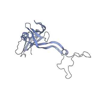 16047_8bh4_B_v1-0
Elongating E. coli 70S ribosome containing deacylated tRNA(iMet) in the P-site and AAm6A mRNA codon with cognate dipeptidyl-tRNA(Lys) in the A-site