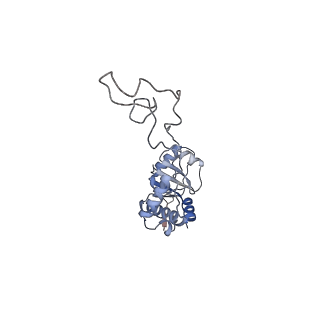 16047_8bh4_C_v1-0
Elongating E. coli 70S ribosome containing deacylated tRNA(iMet) in the P-site and AAm6A mRNA codon with cognate dipeptidyl-tRNA(Lys) in the A-site