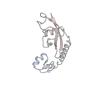 16047_8bh4_F_v1-0
Elongating E. coli 70S ribosome containing deacylated tRNA(iMet) in the P-site and AAm6A mRNA codon with cognate dipeptidyl-tRNA(Lys) in the A-site