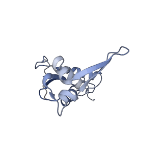 16047_8bh4_G_v1-0
Elongating E. coli 70S ribosome containing deacylated tRNA(iMet) in the P-site and AAm6A mRNA codon with cognate dipeptidyl-tRNA(Lys) in the A-site