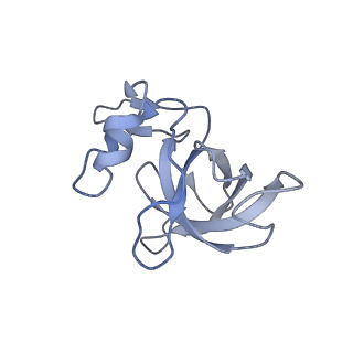 16047_8bh4_H_v1-0
Elongating E. coli 70S ribosome containing deacylated tRNA(iMet) in the P-site and AAm6A mRNA codon with cognate dipeptidyl-tRNA(Lys) in the A-site