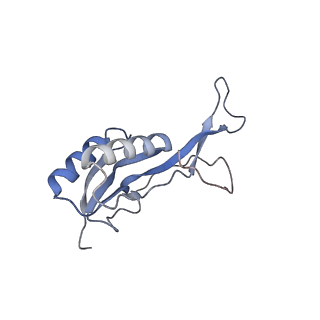 16047_8bh4_J_v1-0
Elongating E. coli 70S ribosome containing deacylated tRNA(iMet) in the P-site and AAm6A mRNA codon with cognate dipeptidyl-tRNA(Lys) in the A-site