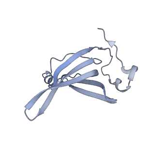 16047_8bh4_M_v1-0
Elongating E. coli 70S ribosome containing deacylated tRNA(iMet) in the P-site and AAm6A mRNA codon with cognate dipeptidyl-tRNA(Lys) in the A-site