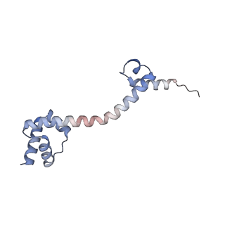 16047_8bh4_N_v1-0
Elongating E. coli 70S ribosome containing deacylated tRNA(iMet) in the P-site and AAm6A mRNA codon with cognate dipeptidyl-tRNA(Lys) in the A-site