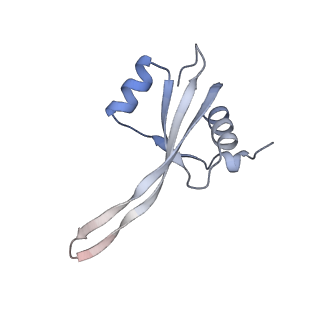 16047_8bh4_Q_v1-0
Elongating E. coli 70S ribosome containing deacylated tRNA(iMet) in the P-site and AAm6A mRNA codon with cognate dipeptidyl-tRNA(Lys) in the A-site