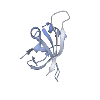 16047_8bh4_S_v1-0
Elongating E. coli 70S ribosome containing deacylated tRNA(iMet) in the P-site and AAm6A mRNA codon with cognate dipeptidyl-tRNA(Lys) in the A-site