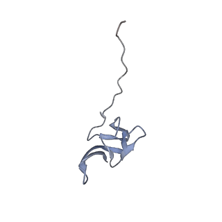 16047_8bh4_T_v1-0
Elongating E. coli 70S ribosome containing deacylated tRNA(iMet) in the P-site and AAm6A mRNA codon with cognate dipeptidyl-tRNA(Lys) in the A-site