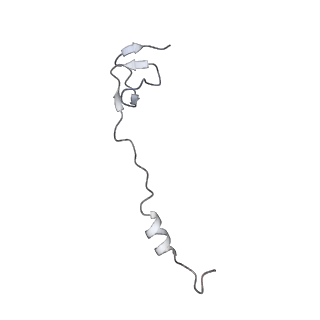 16047_8bh4_a_v1-0
Elongating E. coli 70S ribosome containing deacylated tRNA(iMet) in the P-site and AAm6A mRNA codon with cognate dipeptidyl-tRNA(Lys) in the A-site