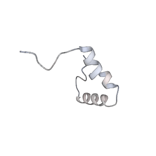 16047_8bh4_c_v1-0
Elongating E. coli 70S ribosome containing deacylated tRNA(iMet) in the P-site and AAm6A mRNA codon with cognate dipeptidyl-tRNA(Lys) in the A-site